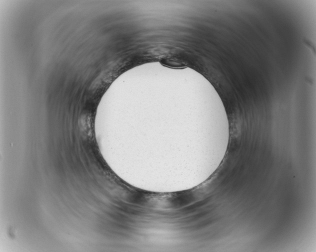 X0000103490182200810101031
