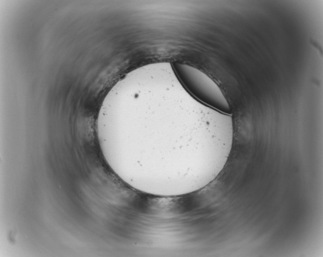 X0000103490184200810101031