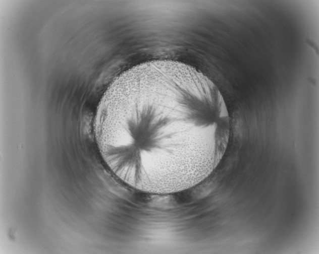 X0000103490185200810101031