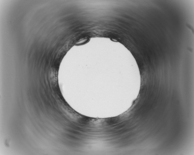 X0000103490186200810101031