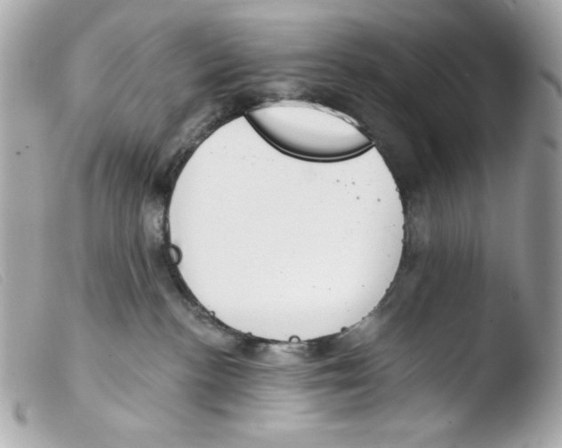 X0000103490188200810101031