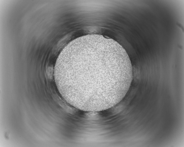 X0000103490189200810101031