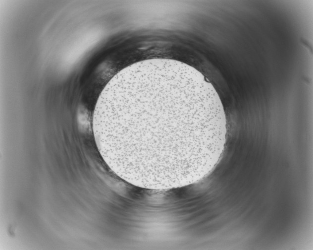 X0000103490191200810101032
