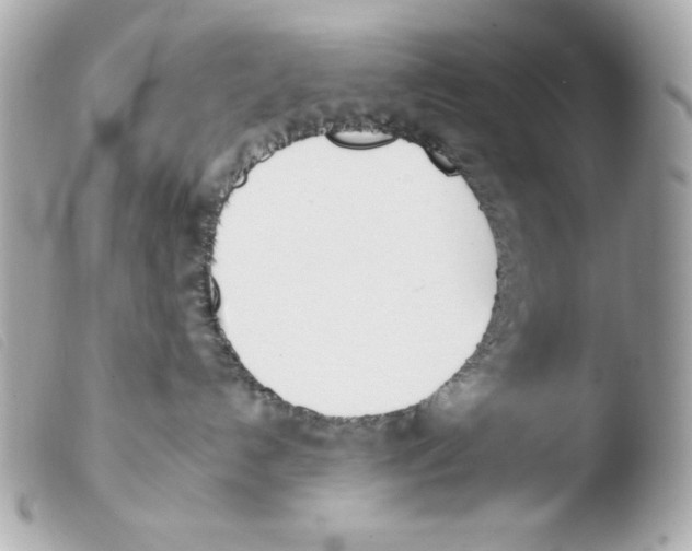 X0000103490192200810101032