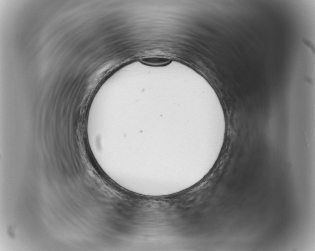 X0000103490193200810101031