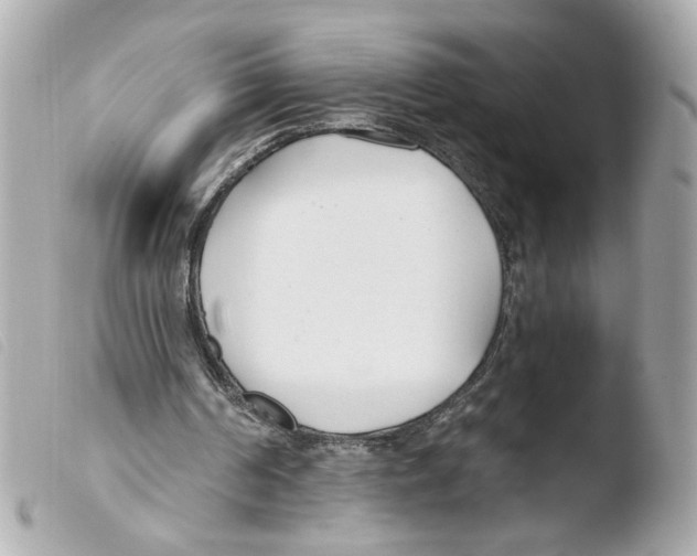 X0000103490194200810101031