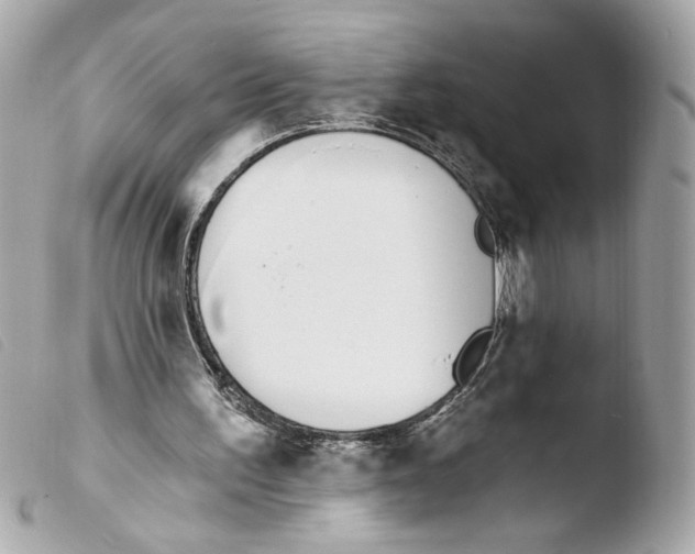 X0000103490195200810101031