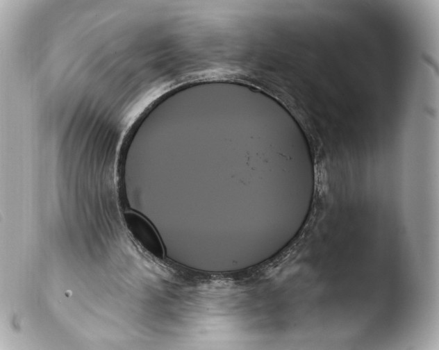 X0000103490196200810101031