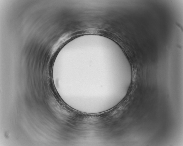 X0000103490198200810101031