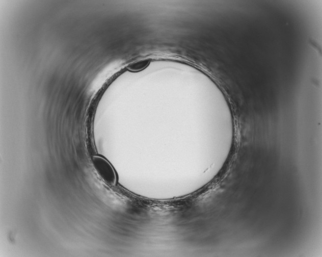 X0000103490199200810101031