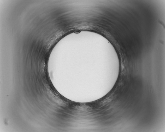 X0000103490201200810101031