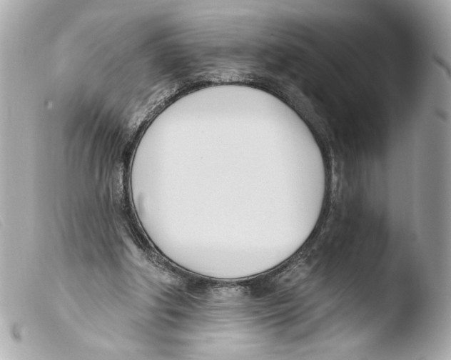 X0000103490202200810101031