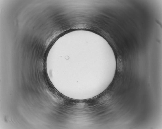 X0000103490204200810101031