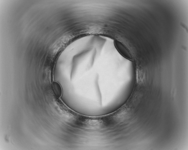X0000103490205200810101031