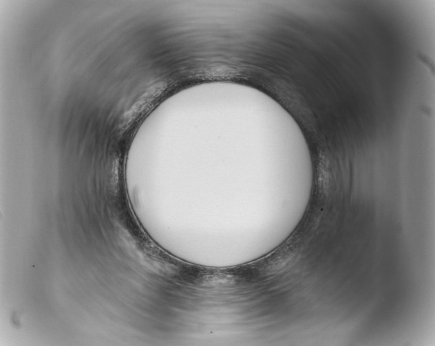 X0000103490206200810101031