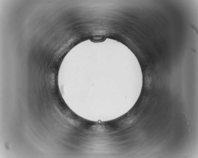 X0000103490211200810101031