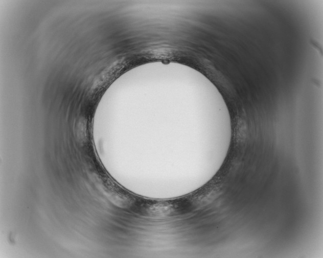 X0000103490213200810101031