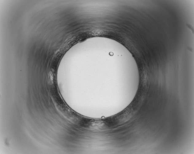 X0000103490214200810101031