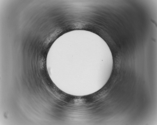 X0000103490216200810101031