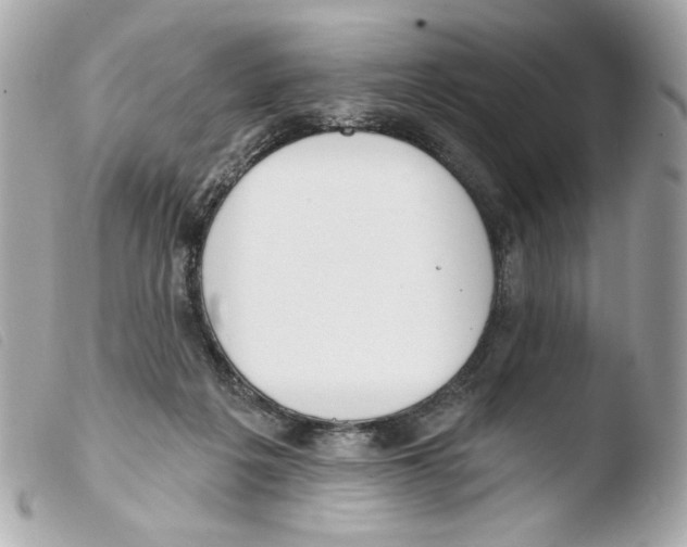 X0000103490217200810101031