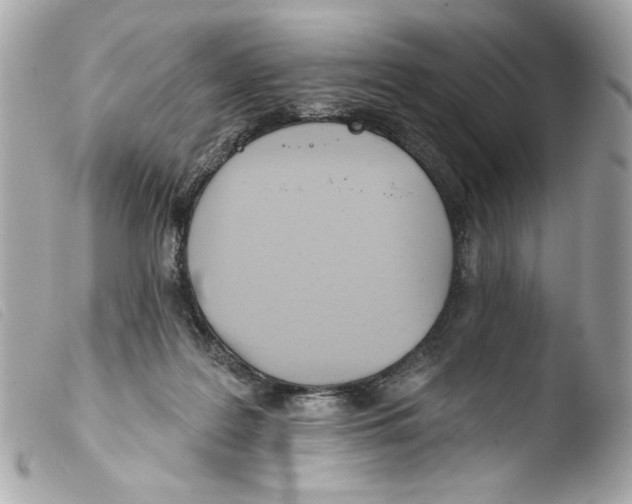 X0000103490219200810101030