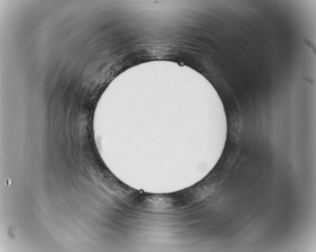 X0000103490221200810101030