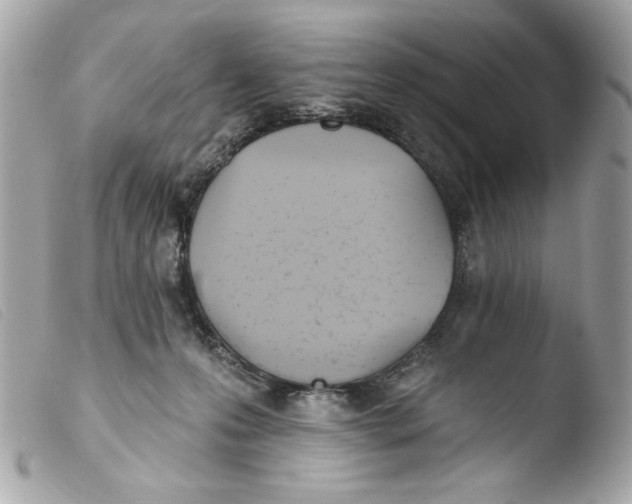 X0000103490223200810101030