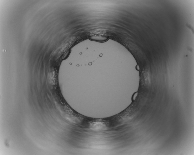 X0000103490224200810101030