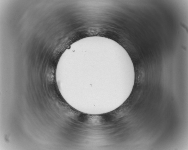 X0000103490226200810101030