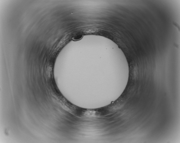 X0000103490227200810101030