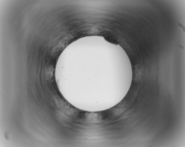 X0000103490230200810101030