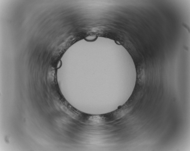 X0000103490231200810101030