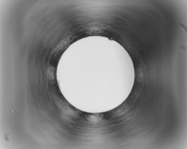 X0000103490232200810101030