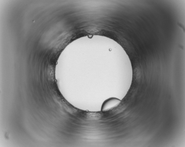 X0000103490234200810101030