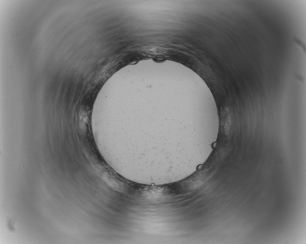 X0000103490235200810101030