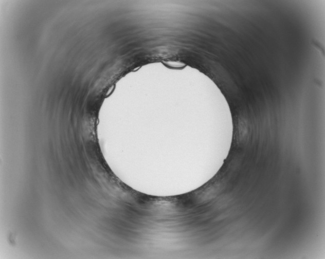 X0000103490236200810101030