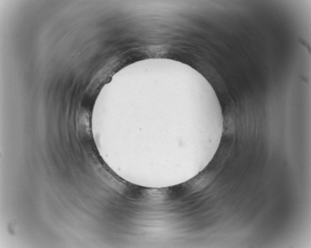 X0000103490238200810101030
