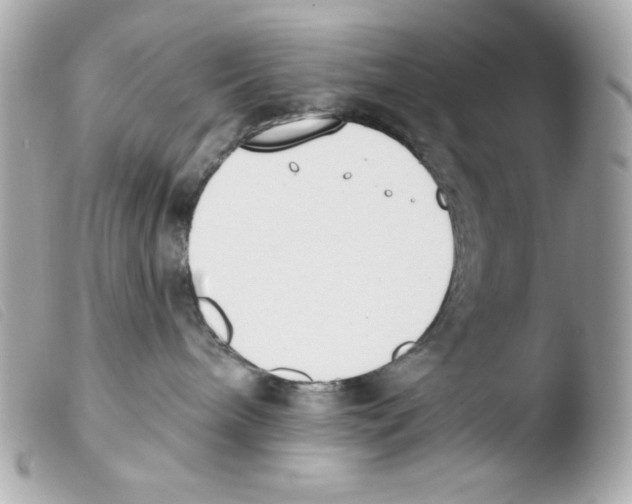 X0000103490240200810101030