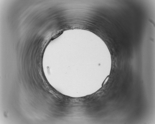 X0000103490241200810101030