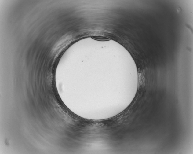 X0000103490243200810101030