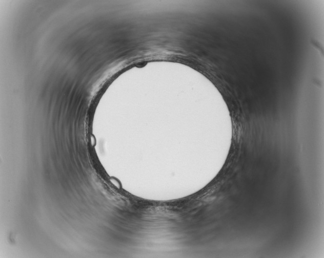 X0000103490244200810101030