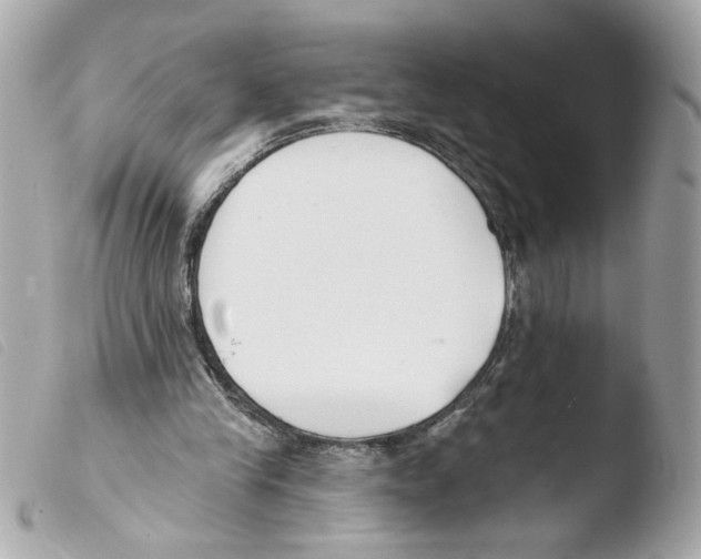 X0000103490245200810101030