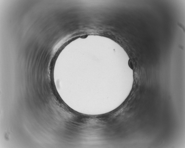X0000103490246200810101030