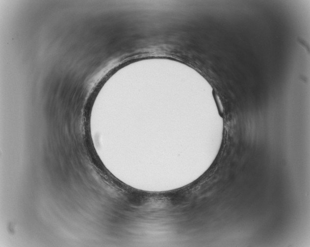 X0000103490248200810101030