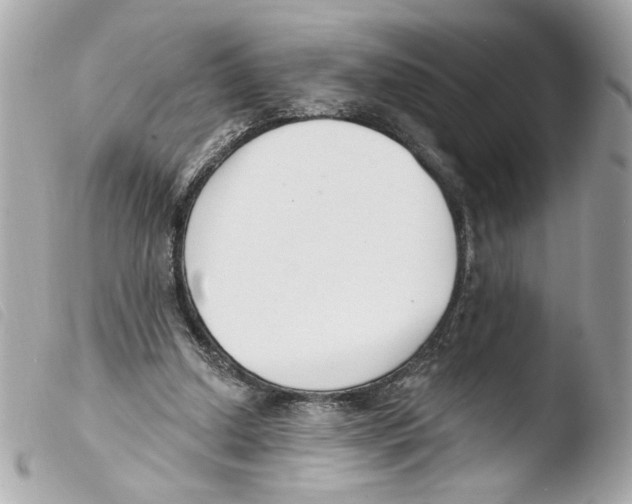 X0000103490250200810101030