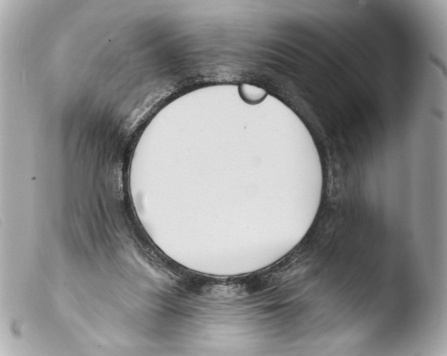 X0000103490251200810101030