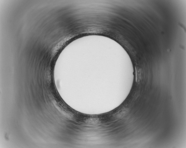 X0000103490252200810101030