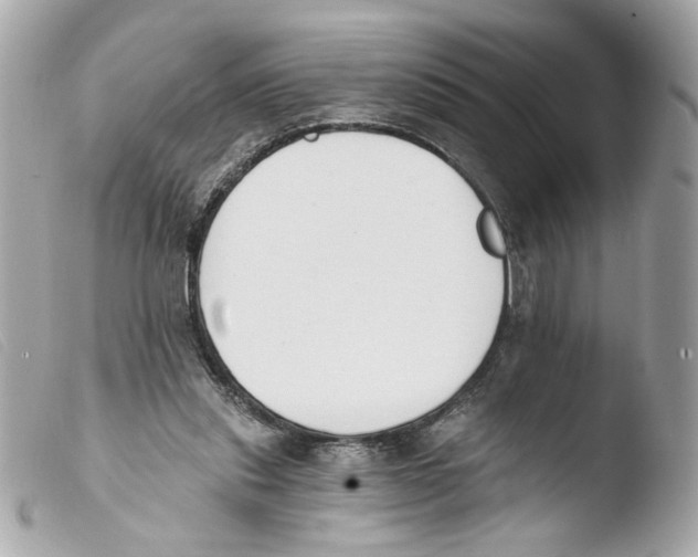 X0000103490253200810101030