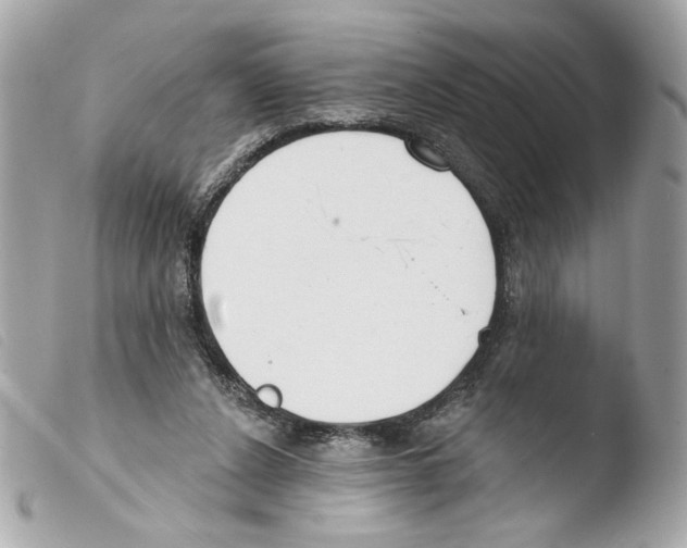 X0000103490256200810101030