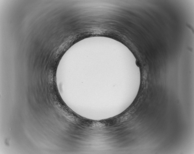 X0000103490257200810101030